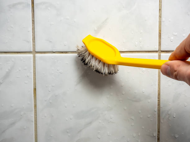 Best Home Mold Removal  in Tawas City, MI