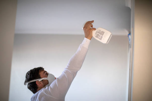 Best Residential Mold Removal  in Tawas City, MI