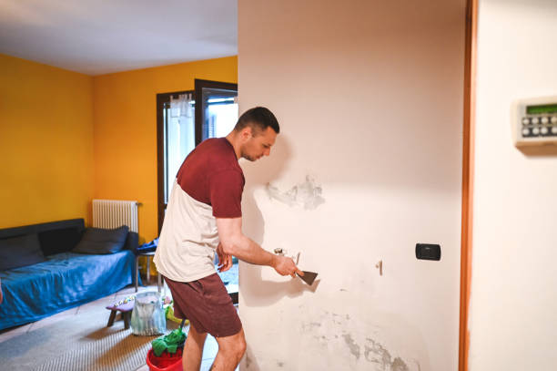 Best Mold Cleaning Services  in Tawas City, MI