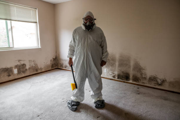 Best Office Mold Removal Services  in Tawas City, MI